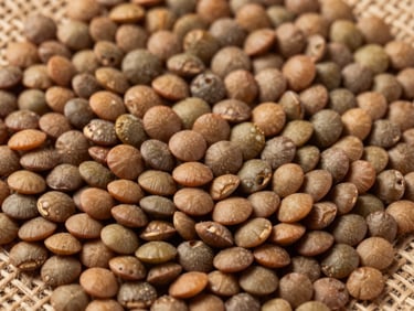 Extreme close-up overhead flat-lay of raw dried legumes — lentils or fava beans — arranged on rough burlap, showing grain texture and earthy brown tones, studio strobe for product detail, no background distractions