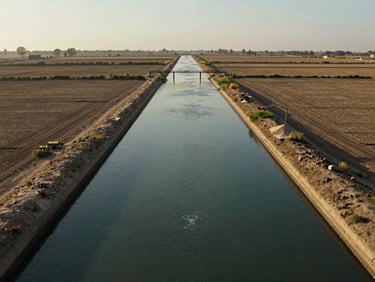 Wide shot of a Nile Delta irrigation channel cutting through flat crop fields, water reflecting early morning documentary light, agricultural infrastructure visible, no people