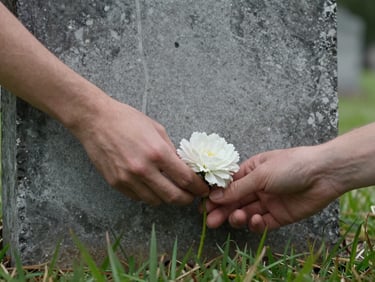 Close-up of two hands carefully placing a single white flower against weathered grey headstone, overcast diffuse light, damp stone surface visible, natural green grass at the base of the stone, quiet and unhurried composition