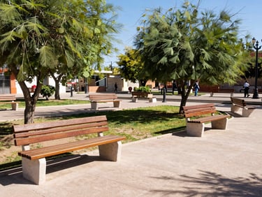 A clean, vibrant public park in Mexicali with newly painted benches and green trees, bright afternoon sun
