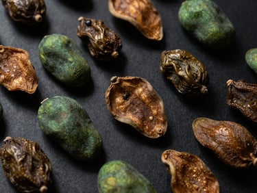 Close-up of dried tropical fruits (e.g., mango, jackfruit) arranged elegantly on a dark textured surface, rich shadows, soft directional side-light, dark moody editorial photography
