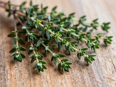 Overhead flat-lay of small thyme sprigs on a rustic wooden surface, soft diffused light, organic editorial photography.