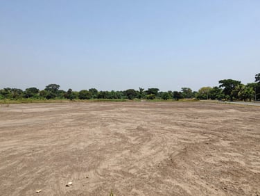 Panoramic shot of open plot land near Shahapur, midday natural light, flat graded earth with green tree line at horizon, entry road visible at right, expansive open sky
