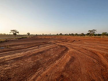 Wide plot overview of undeveloped land near Kasara corridor, golden midday light, laterite soil, open sky, road access visible at left edge, sparse trees along far boundary