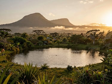A peaceful lagoon in South America surrounded by lush greenery, misty mountains in the background, warm sunset glow.