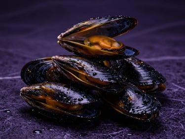 Extreme macro studio seafood photography of glistening, wet black mussel shells stacked professionally on a dark violet marble surface, dramatic gold lighting, high contrast, 85mm