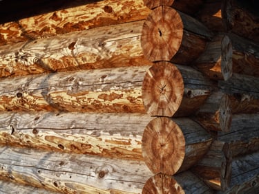 Close-up of hand-notched 1800s cabin logs with visible broadaxe marks, warm natural wood grain, 35mm