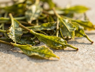 Close-up of long, twisted orthodox Assam tea leaves on a light, smooth stone surface, warm golden-hour sun filtering through leaves, shallow depth of field.