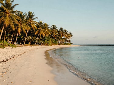 Wide environmental shot of a flat coastal coconut grove meeting a quiet white sand beach, calm turquoise water, golden-hour light.