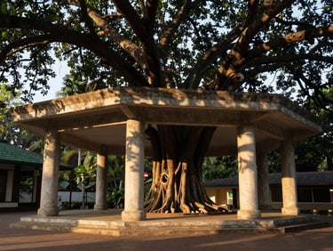 Exterior elevation of the Banyan Pavilion, concrete columns integrating with mature banyan trees, golden hour shadows.