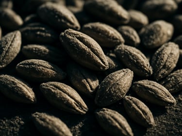 Macro shot of raw agricultural seeds, high-contrast early morning light highlighting physical texture and dust motes, desaturated earth tones.