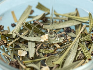 Macro shot of herbal ingredients blending into clean water, crisp commercial photography, bright morning daylight, sharp focus, 50mm lens
