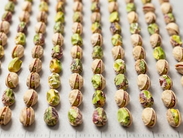 Macro close-up of premium graded green pistachio kernels arranged in a precise flat-lay on a clean neutral surface with scale markers, bright studio lighting, sharp focus.