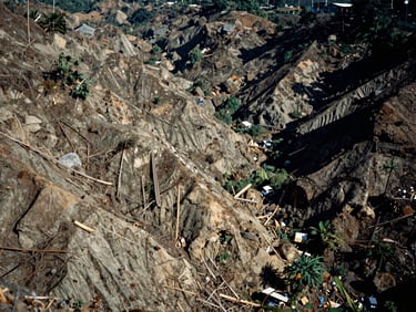 Gritty documentary photo of a deforested hillside in Malaysia under harsh daylight, dramatic shadows.