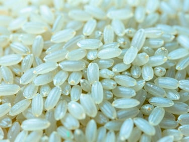 Close-up of glistening long-grain rice kernels, bright, clean lighting, sharp focus.