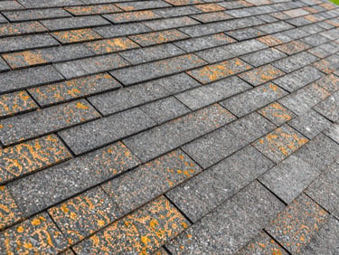 Macro close-up of clean, high-quality architectural shingles showing flawless alignment and texture under bright post-storm daylight