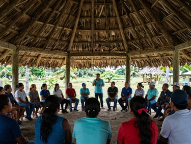 Wide shot of a community assembly under a thatched roof in rural Panama, people listening to a presenter, soft natural daylight, authentic documentary style.
