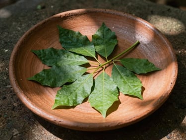Fresh green forest leaves arranged on a handmade clay plate, dappled sunlight, rich textures.