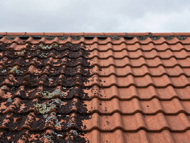 Detail shot of a tiled residential roof, half covered in dark algae and lichen, the other half cleaned back to original terracotta under flat overcast sky