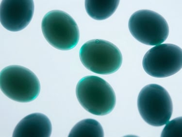 Microscopic view of polar lipid vesicles, emerald bioluminescent edges, cool white laboratory backdrop, high-magnification.