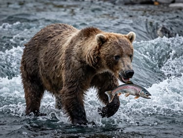 Grizzly bear catching a salmon in a rushing Alaskan river, water splashing, low-key natural light, ultra-sharp detail