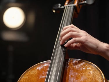 Extreme close-up of left hand on cello fingerboard, fingers pressing strings, warm side-light from stage spotlights, dark background