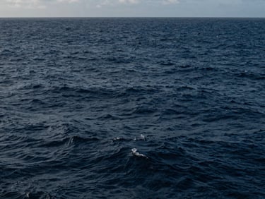A modern commercial container ship navigating calm deep blue ocean waters during bright daylight, wide shot, crisp focus.