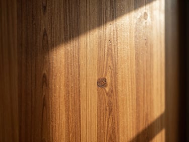 Warm editorial photography of rich natural teak wood grain, golden-hour window light illuminating the textured surface, deep shadows, 35mm
