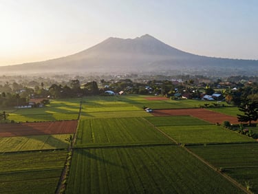 Drone shot of expansive green agricultural land in Cigombong, Bogor, with Mount Salak in the background, soft morning light, warm editorial photography.