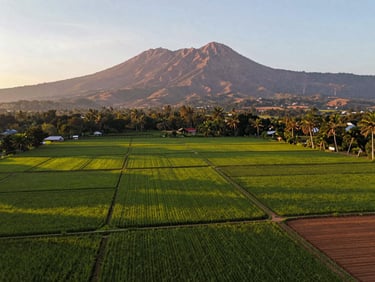 Drone footage of lush green agricultural land in Cigombong with Mount Salak in the background, golden hour light, showing property boundaries clearly, warm editorial photography, 35mm lens