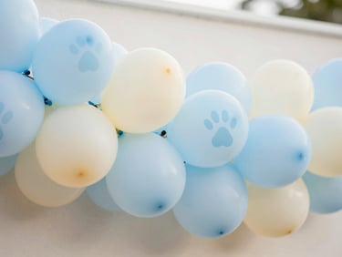 Close-up of a pastel blue and cream balloon garland with subtle paw print balloons, natural light, shallow depth of field