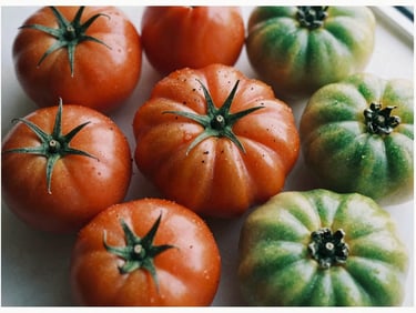 Overhead flat-lay of fresh heirloom tomatoes with soil clinging to the vines, rich crimson and forest green tones, natural light.