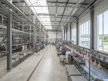 Wide-angle architectural shot of a modern, sterile poultry processing facility in Brazil, bright morning light, crisp industrial lines, stainless steel surfaces, professional agricultural export context.