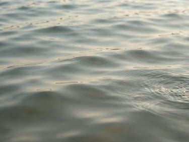 Close-up of gentle ripples in clear water, soft morning light, muted sage tones, shallow depth of field