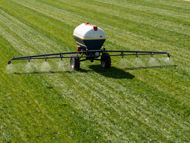 Fertilizer spreader in action across a healthy green lawn in midday daylight, granules visible mid-air just above the turf surface, wide environmental framing showing the full lawn expanse