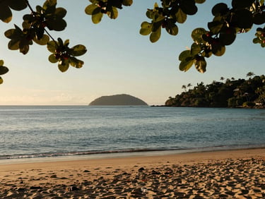 A quiet beach cove in Guarapari, golden hour, calm blue water, sea grapes framing the shot, 35mm lens