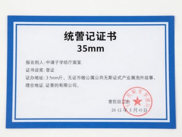 An official government certificate with stamp and signature, clear document layout, daylight, professional 35mm