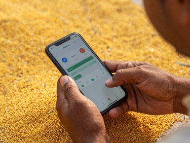 Close-up of an Indian farmer's hands holding a smartphone, scanning a pile of millet grains, screen showing Krishi AI app interface with visual analysis, warm natural light.