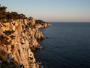 Dramatic coastal cliffside overlooking a dark blue ocean at golden hour, low-angle shot, sparse coastal pines.