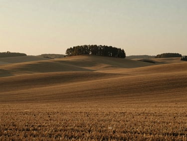 Wide landscape shot of rolling acreage and timberland under soft golden hour light, muted earth tones, 35mm film aesthetic.