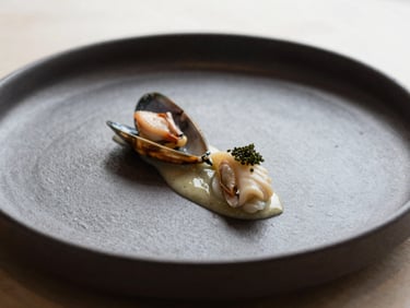 Minimalist seafood dish plated on dark ceramic, soft natural light, Scandinavian design, macro lens.