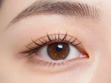 Macro shot of perfectly applied, isolated eyelash extensions, showing clean work and lash line, soft natural daylight, warm gold and soft pink tones.