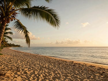 Panoramic view of Punta Cana coastline at golden hour, palm fronds framing the left edge, long stretch of sand meeting calm ocean water, warm amber light, no posed figures