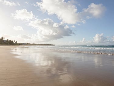 Coveñas beach at low tide from ground level, wet sand reflecting a bright overcast Caribbean sky, no tourists in frame, wide angle