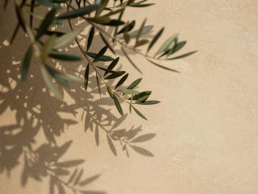 Delicate olive branches casting elegant, soft shadows on a warm sand-colored stucco wall, quiet composition, 35mm