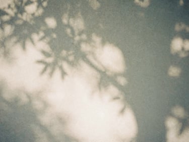 Soft morning light filtering through tree leaves, creating gentle shadows on a neutral textured wall, 35mm film texture