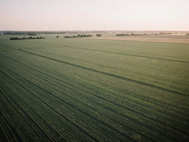 Sweeping aerial view of structured agricultural farmland, late afternoon golden hour, muted natural tones, 35mm film.