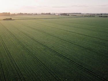Sweeping aerial shot of structured green farmland, soft late afternoon golden hour light, muted natural tones, 35mm film