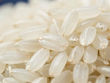 Macro photography of raw Sona Masoori medium grain rice, clean daylight, showing uniform cream-colored grains.