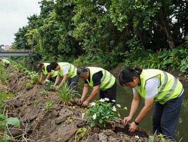 Scientists in high-vis vests planting native wetland vegetation along an urban drainage canal.